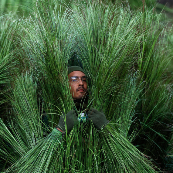 Amerika uzdrmana: Ceo svet priča o nastupu Bed Banija na Superboulu FOTO/VIDEO