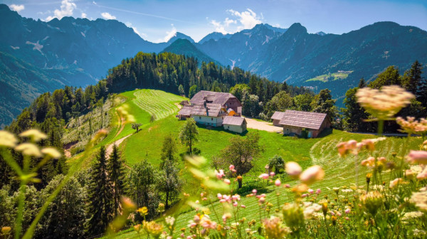 Solčavsko čudo: Panoramska ruta koja spaja alpsku prirodu, ledenjačke doline i tradiciju VIDEO