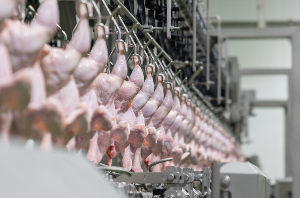 Veliki planovi pali u vodu: Ukrajinski projekat stopiran