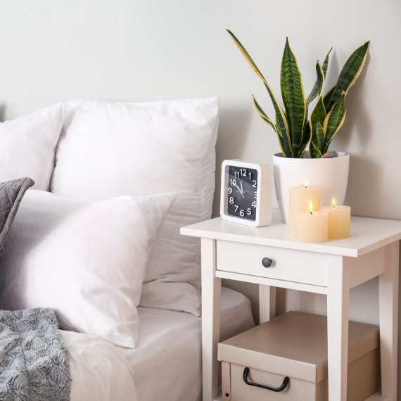 Ove tri biljke će vam stvarno pomoći da se bolje naspavate FOTO