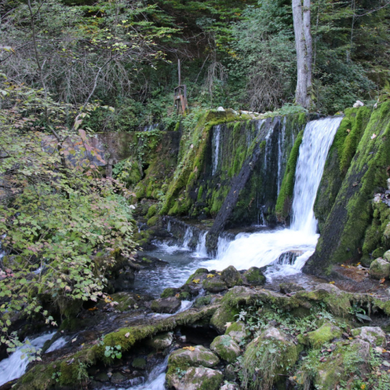 Danas je Međunarodni dan reka, a Srbija ima svoj dragulj za ponos: Vrelo izvire podno Tare FOTO