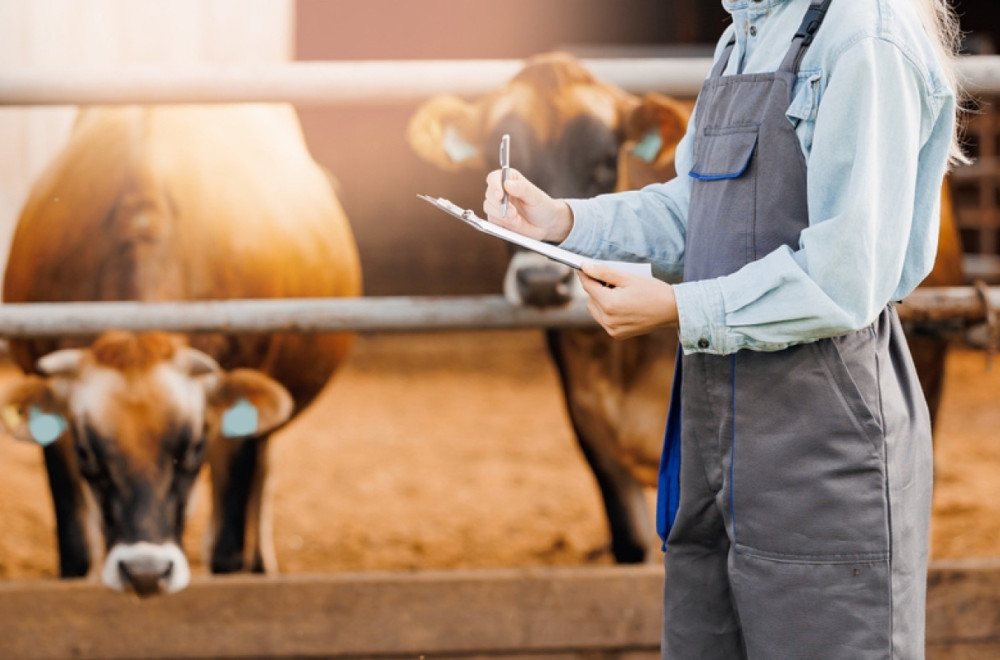 Vredi duplo više od zlata: Za 30 grama ovog "otpada" daju i 5.000 evra, a kod nas ga bacaju