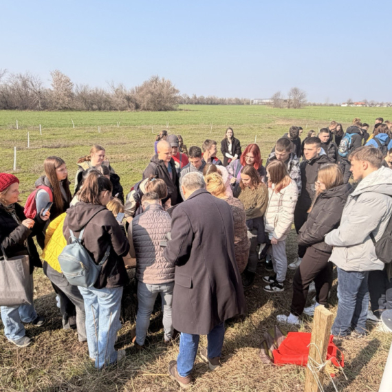 Upoznajte pčele koje ne bodu, a čuvaju nam doručak