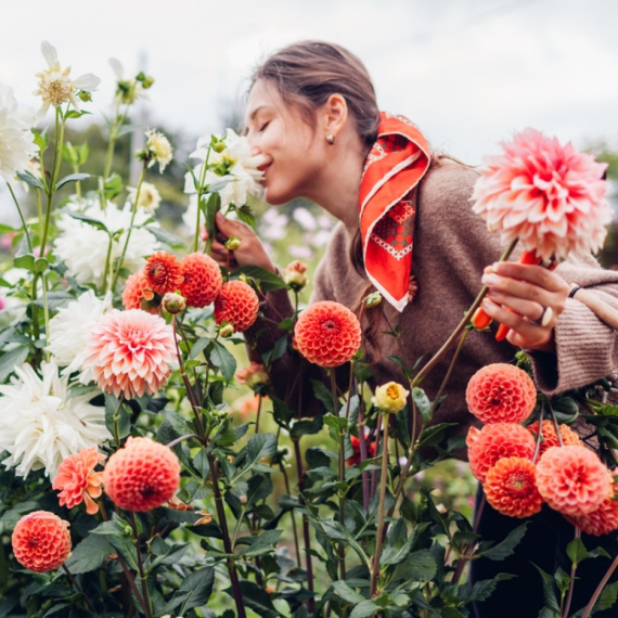 Jedan sastojak čini čuda: Cveće će bujati cele sezone ako ovo ispoštujete