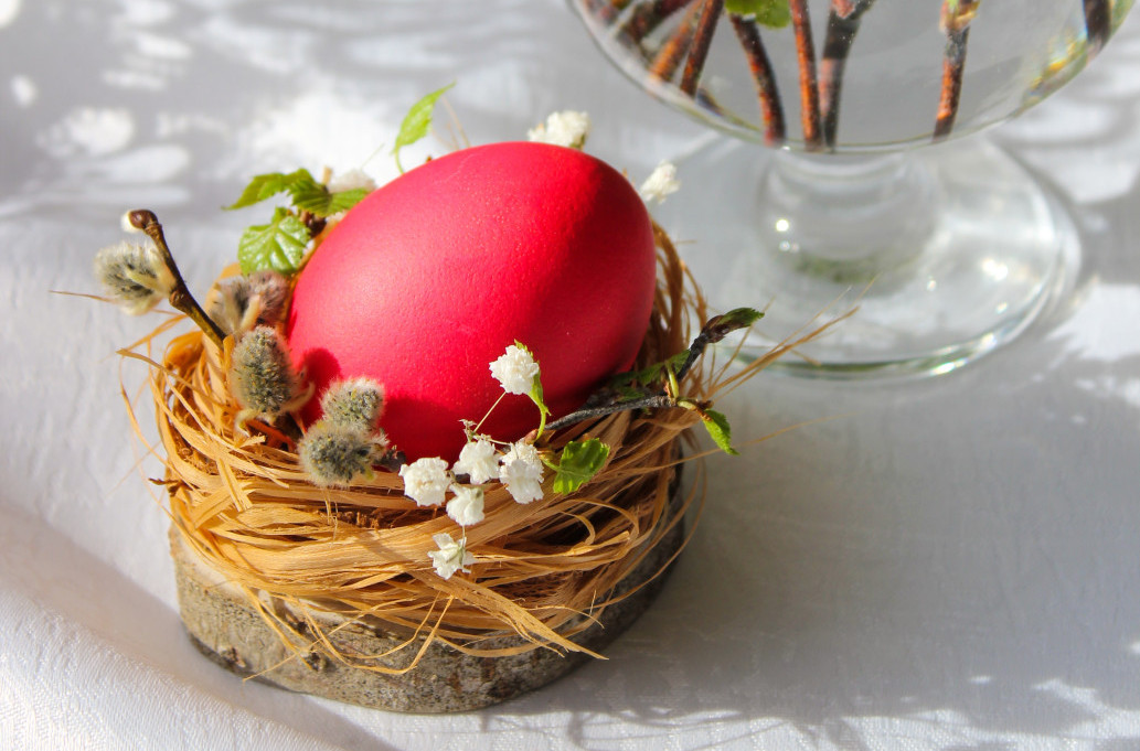 Šta treba uraditi sa starim jajetom čuvarkućom?