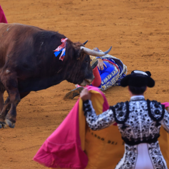 Krvava drama u areni: Bik razneo matadora, publika zanemela FOTO/VIDEO