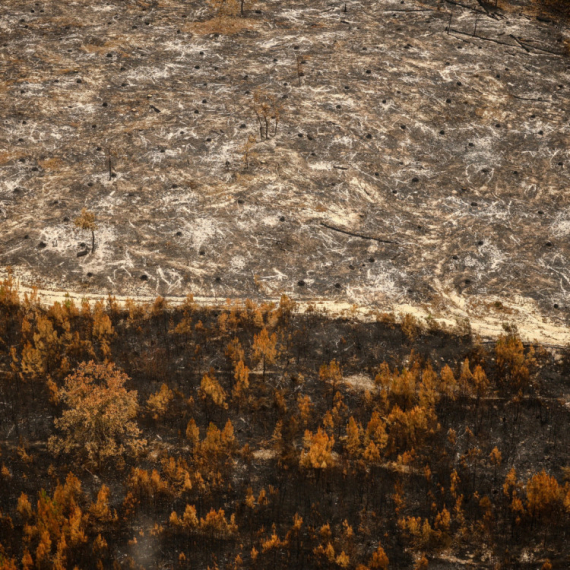 Otkriveno na sotine granata iz Drugog svetskog rata; Vlasti u šoku: "Nismo znali da ovo postoji"