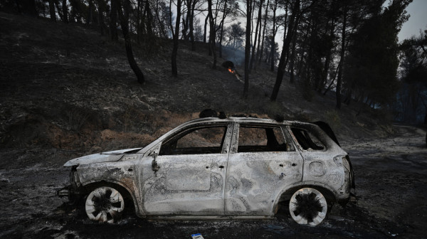 Potresni snimci sa Halkidikija: Evo šta se savetuje svima koji kreću na put FOTO/VIDEO