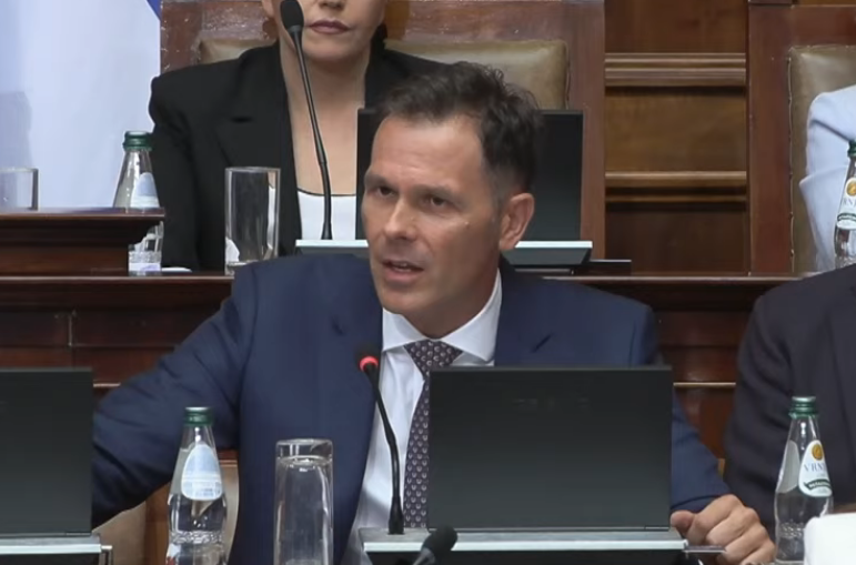 Mali u Skupštini: "Plate i penzije nikada nisu bile veće i to u realnom iznosu" VIDEO