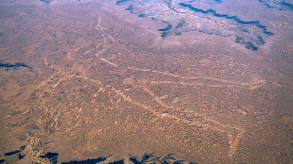 Tajnoviti div u Australiji: Misterija koja još uvek intrigira svet FOTO