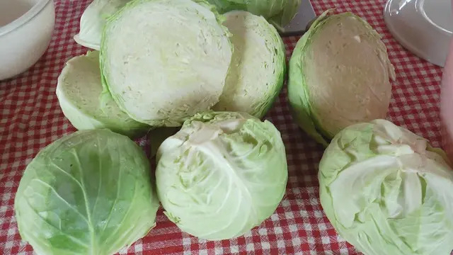 Kako se pravilno kiseli kupus? Ovo je obavezno ako želite da uspete