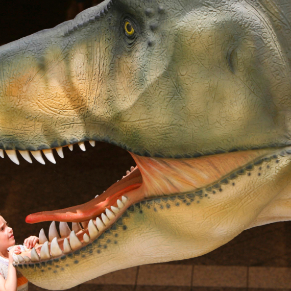 Naučnici pronašli tragove stare 120 miliona godina koji bi mogli da otkriju istinu o dinosaurusima