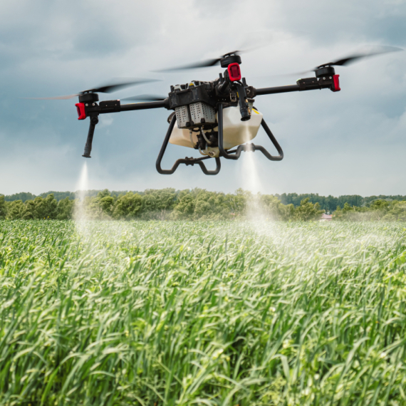 Kad traktor ne može među useve, poleće dron: Mladić iz Mihajlova njive obrađuje iz vazduha