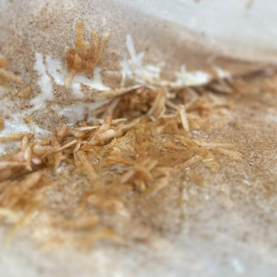 Tradicionalni recept od kog miriše cela kuća: Pita s jabukama biće savršena samo ako joj dodate ovo