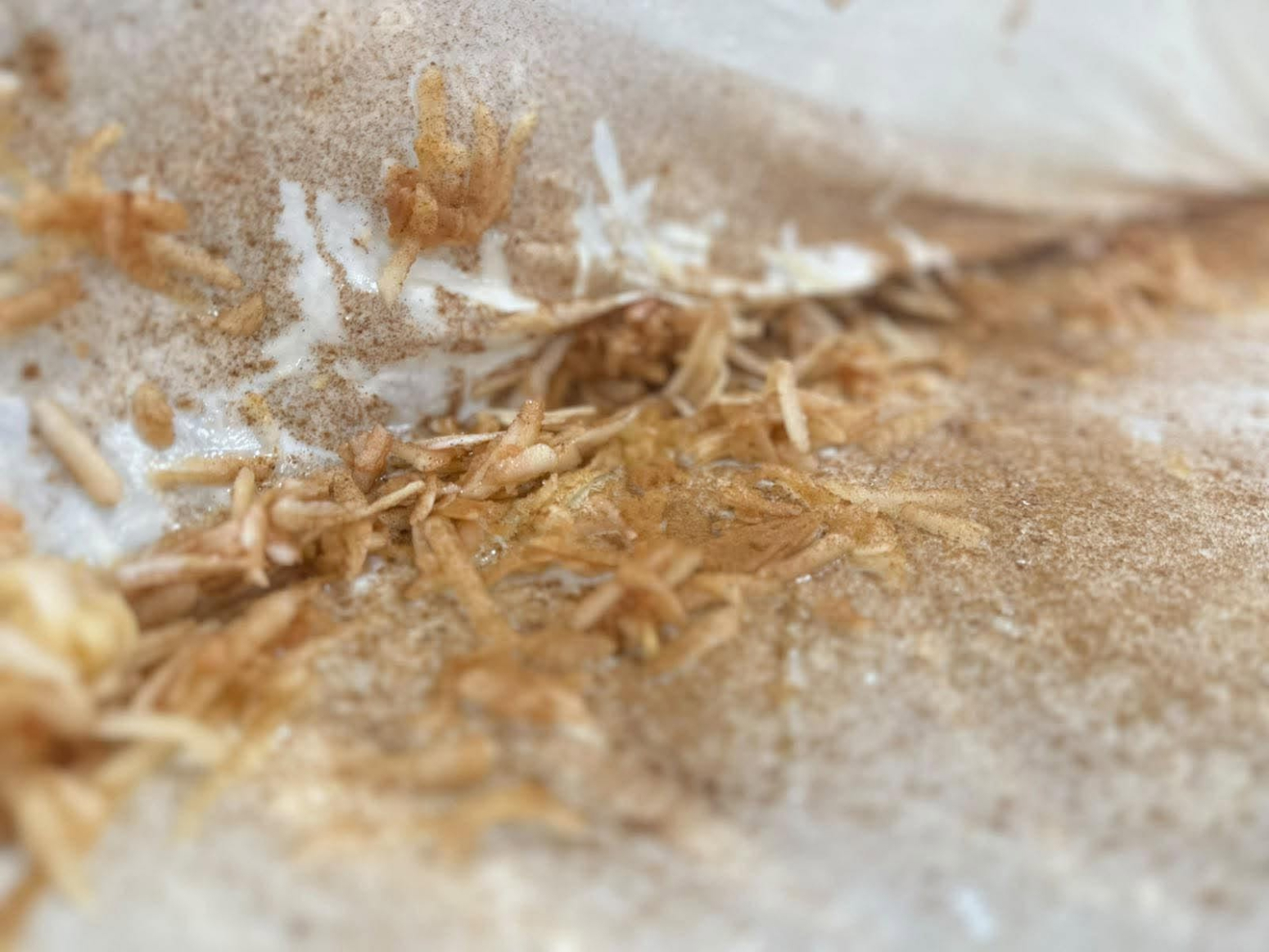 Tradicionalni recept od kog miriše cela kuća: Pita s jabukama biće savršena samo ako joj dodate ovo